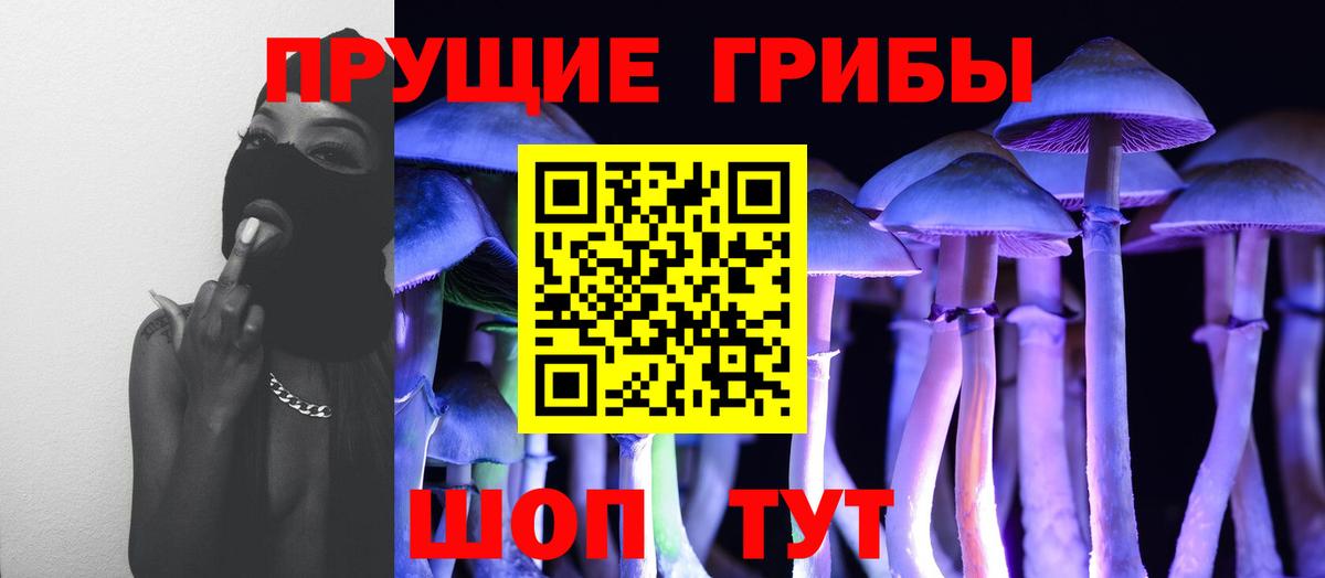 Бийск  Галлюциногенные грибы мицелий  Вход с VPN 